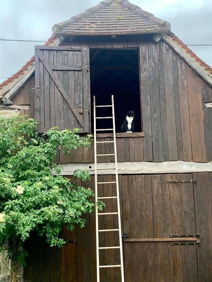 Chambres D'Hotes Pech Blanc Calvignac