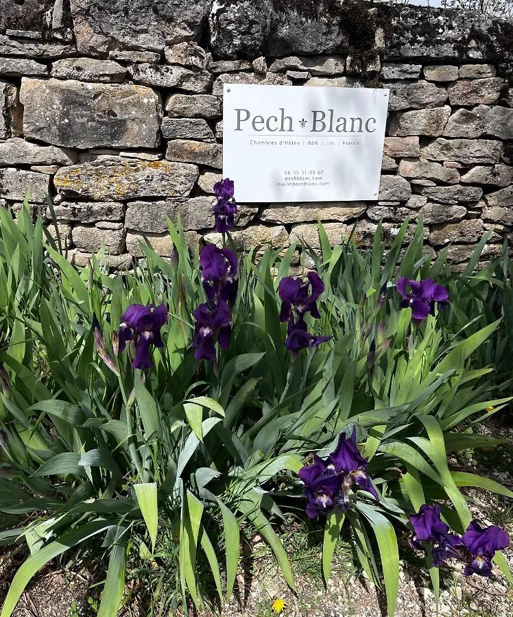 Chambres D'Hotes Pech Blanc Calvignac