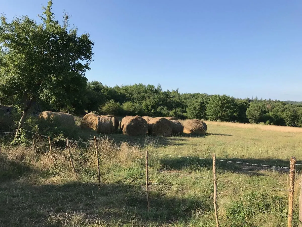 Bed & Breakfast Chambres D'Hotes Pech Blanc Calvignac